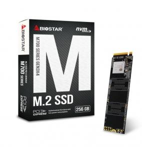 Твердотельный накопитель Biostar M700 M700-256GB ( NVME )
