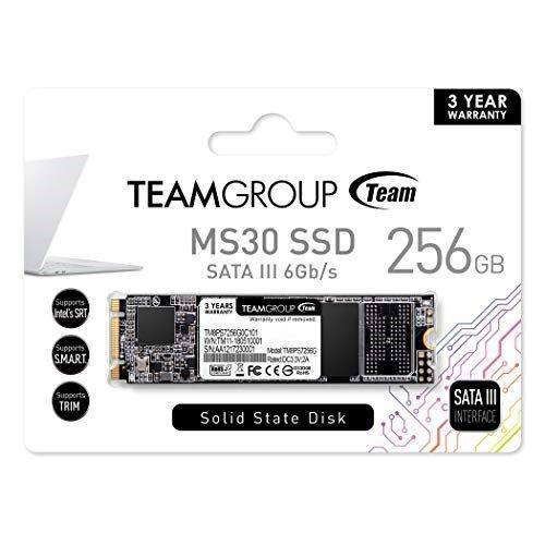 Твердотельный накопитель Team Group MS30 256GB SSD M.2 [TM8PS7256G0C101]